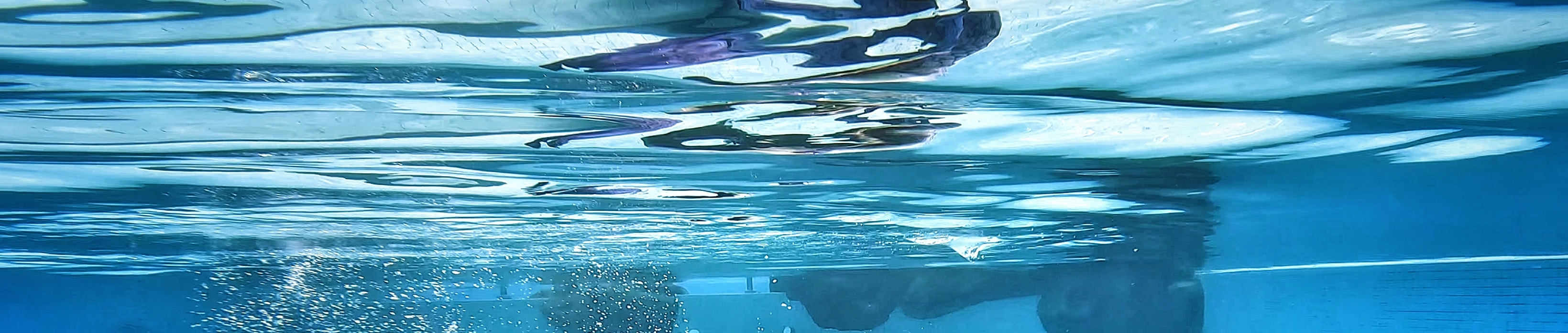 沙巴亞庇PADI美人魚潛水體驗（PADI自由潛水中心）