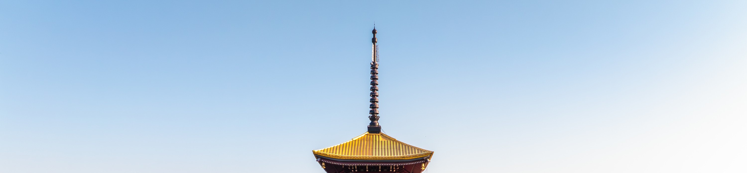 東湖櫻花園