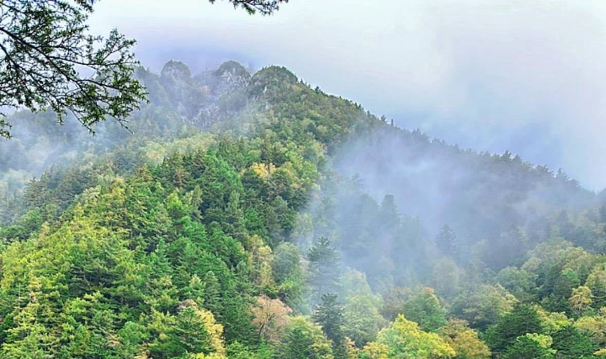 Kamikochi Hiking Tour from Nagoya