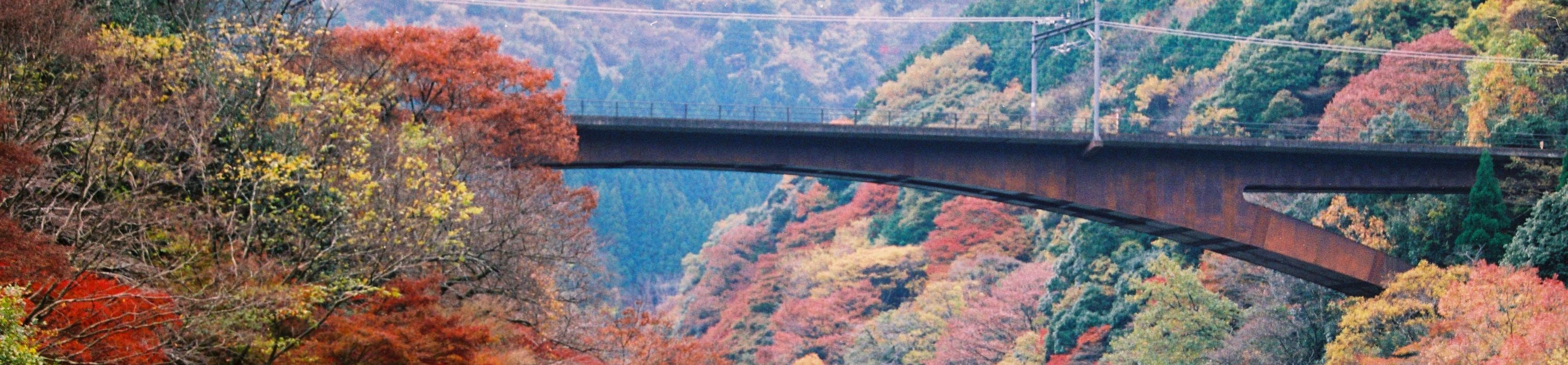 京都嵐山觀光火車 & 保津川漂流體驗一日遊（大阪 / 京都出發）