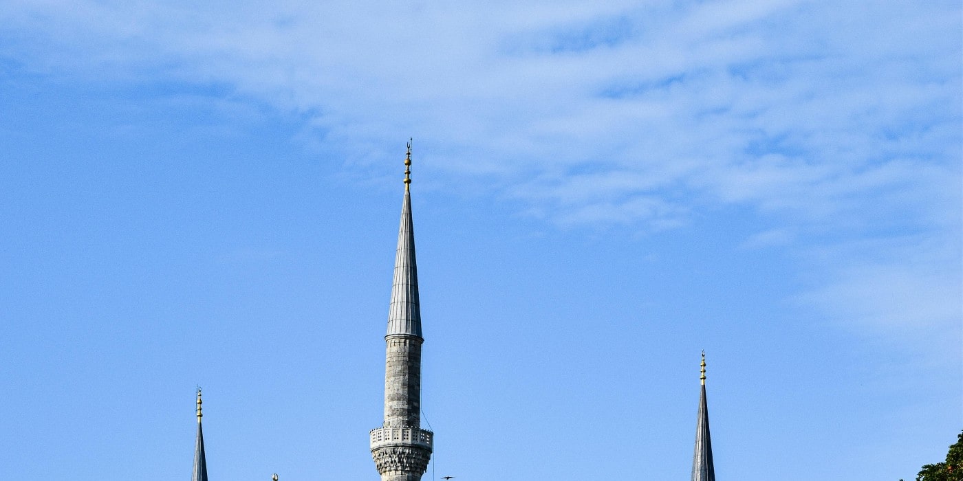 Istanbul Hagia Sophia & Blue Mosque Half-Day Tour - Thumbnail 6