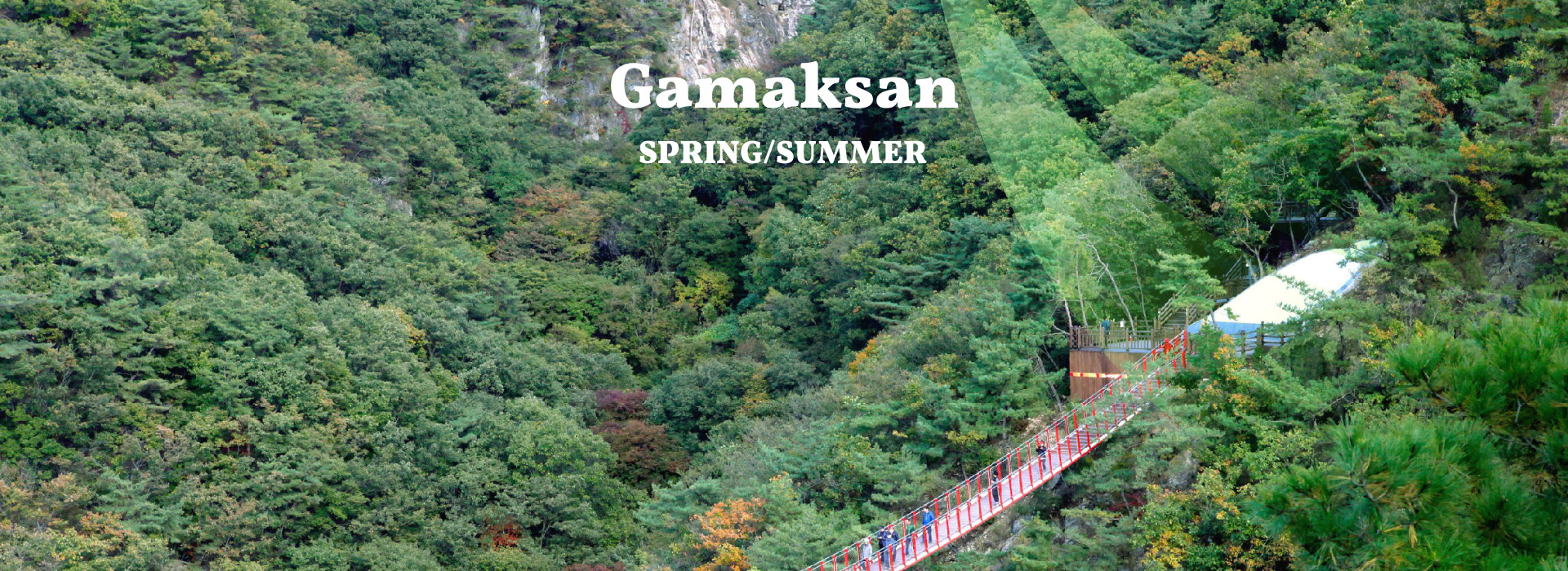 在紺岳山享受夏日,輕鬆健行,擺脫城市熱浪,享受清涼🌷山谷是一片翠綠的天堂,美麗的野花四處綻放,是夏日健行的絕佳去處。 在紺岳山享受夏日,輕鬆健行,擺脫城市熱浪,享受清涼🌷山谷是一片翠綠的天堂,美麗的野花四處綻放,是夏日健行的絕佳去處。