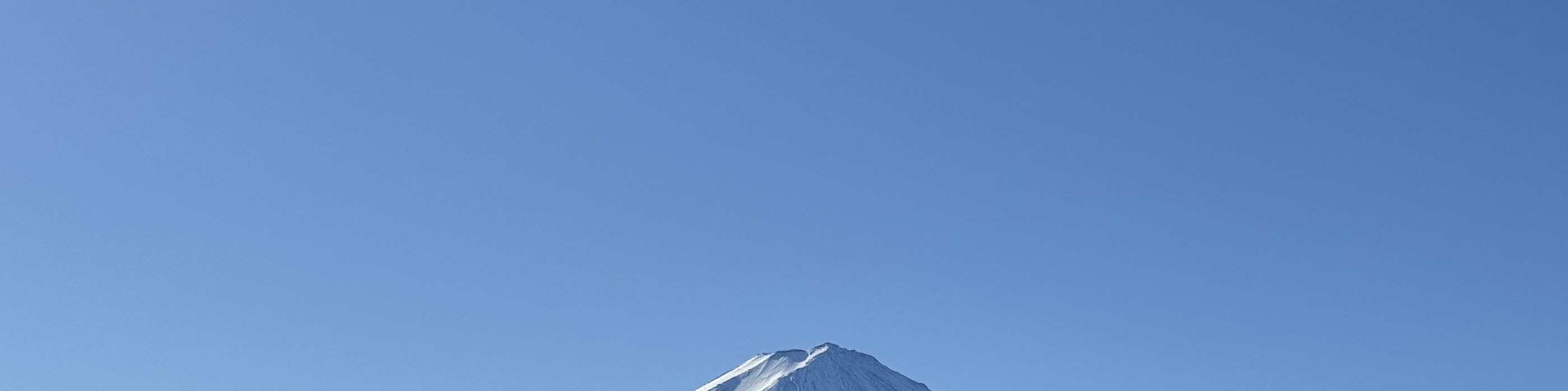 【中文／英語導遊】東京站出發富士山河口湖山中湖必玩一日遊