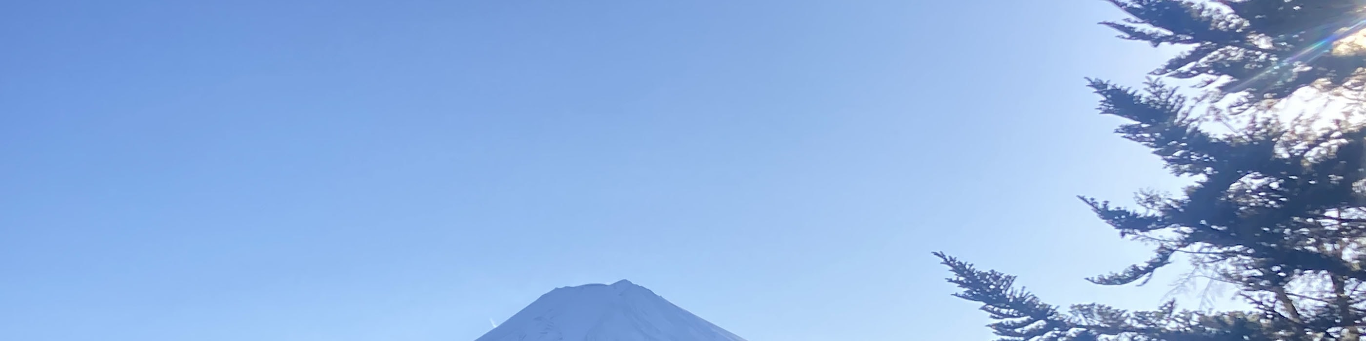 【中文／英語導遊】東京站出發富士山河口湖山中湖必玩一日遊