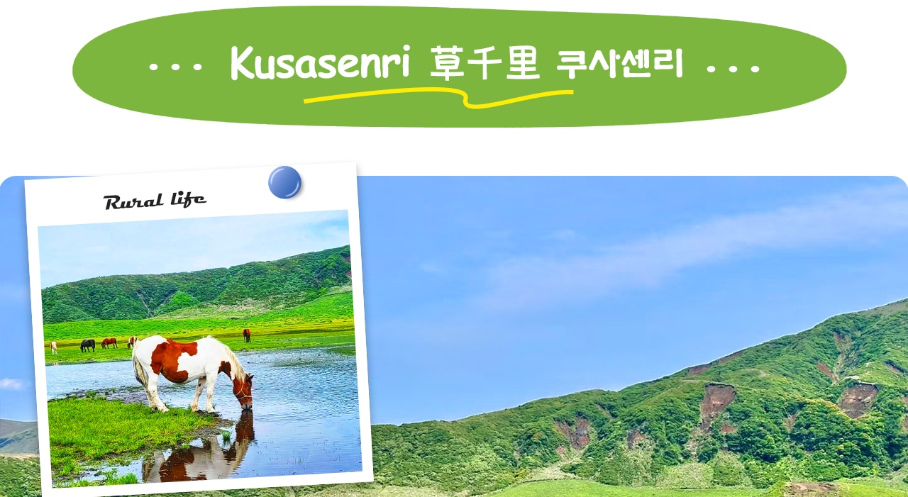 宮崎·熊本｜高千穂峽(可選牛肉午餐/遊船體驗)·阿蘇火山·草千里一日遊｜福岡出發