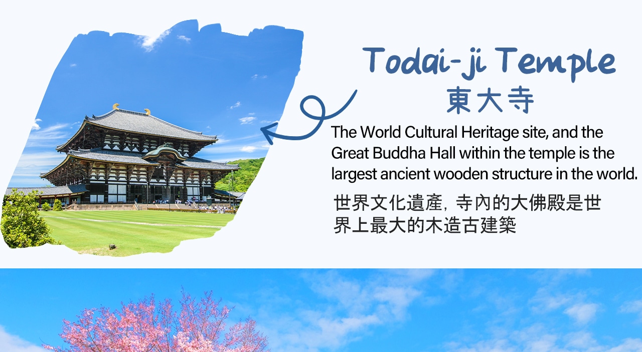 京都奈良嵐山一日遊 | 奈良公園喂小鹿&伏見稻荷千本鳥居&嵐山小火車&竹林小徑 |京都或大阪下車