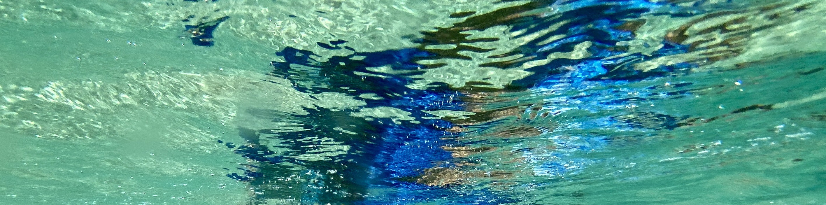 Island Tour + Snorkel + Waterfall - from KoOlina - Thumbnail 5