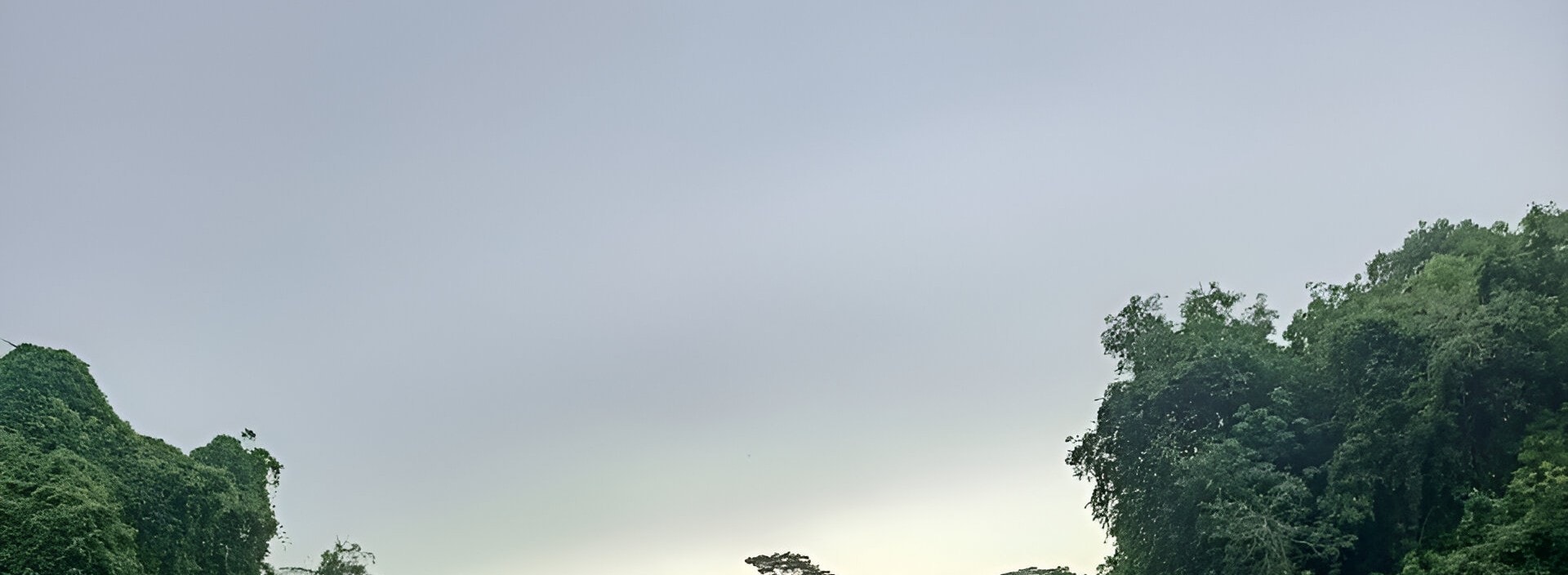 Hidden Hiking Trails in Singapore