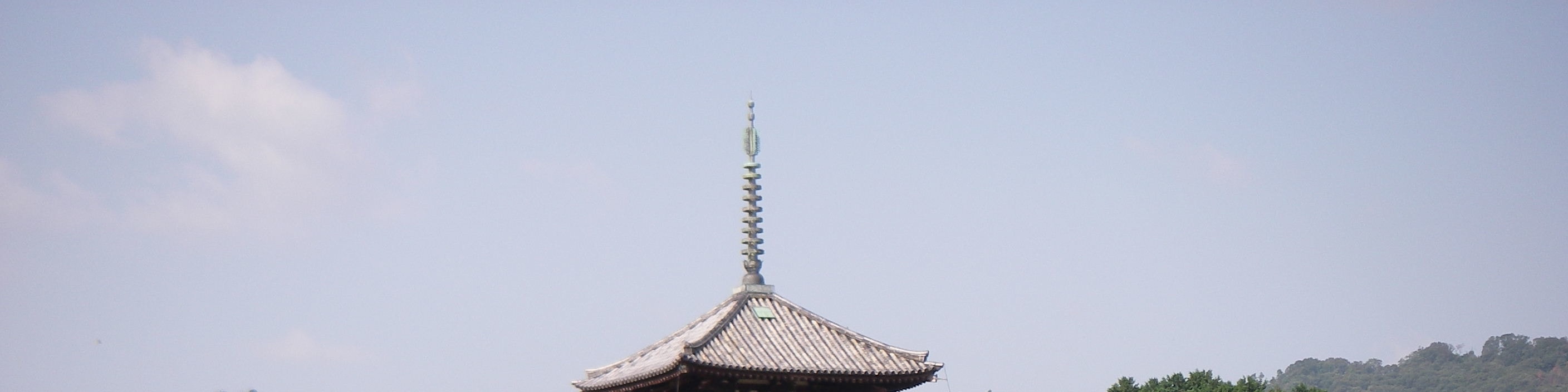 [Nara] Tour of 1400 years of history / Choose your transportation 
