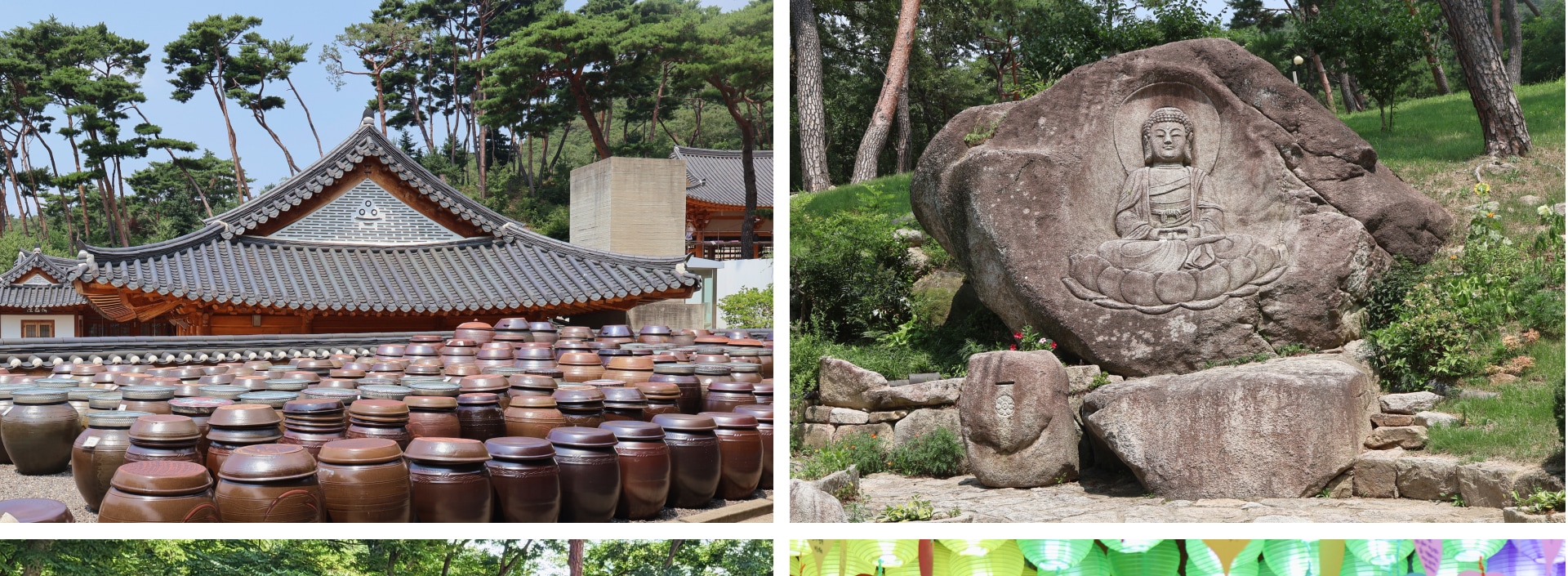 探索傳統寺廟，聆聽大自然寧靜的聲音。