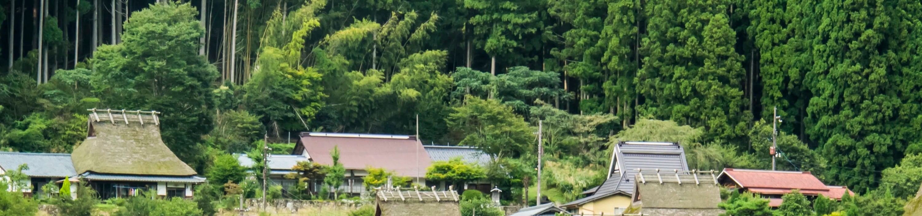 Amanohashidate, Ine Funaya, and Kyoto Gassho Village Miyama Thatched House No Sato Day Tour | Depart from Osaka