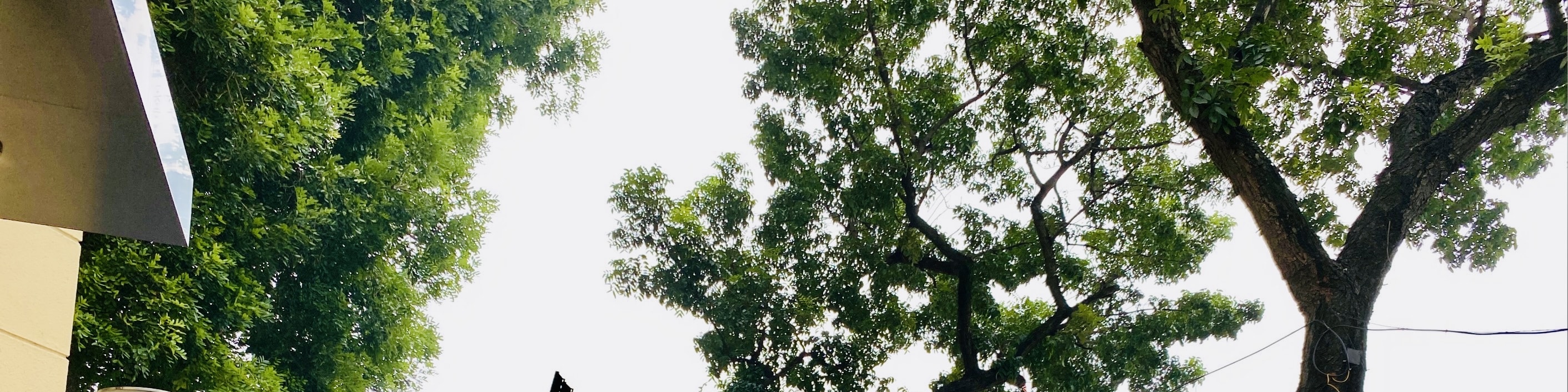 河內歌劇院