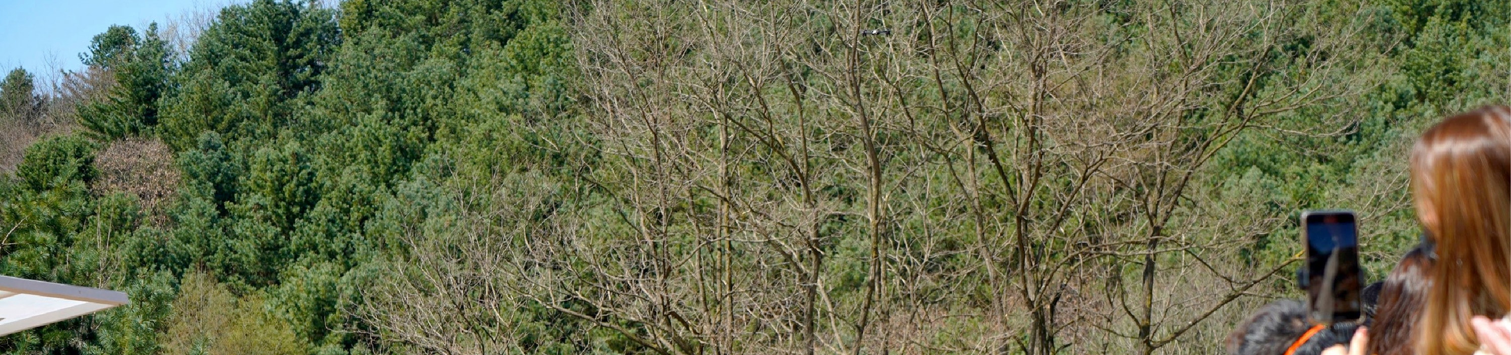 南怡島／草泥馬／鐵道自行車／小法國村／晨靜樹木園／海棠花園之旅