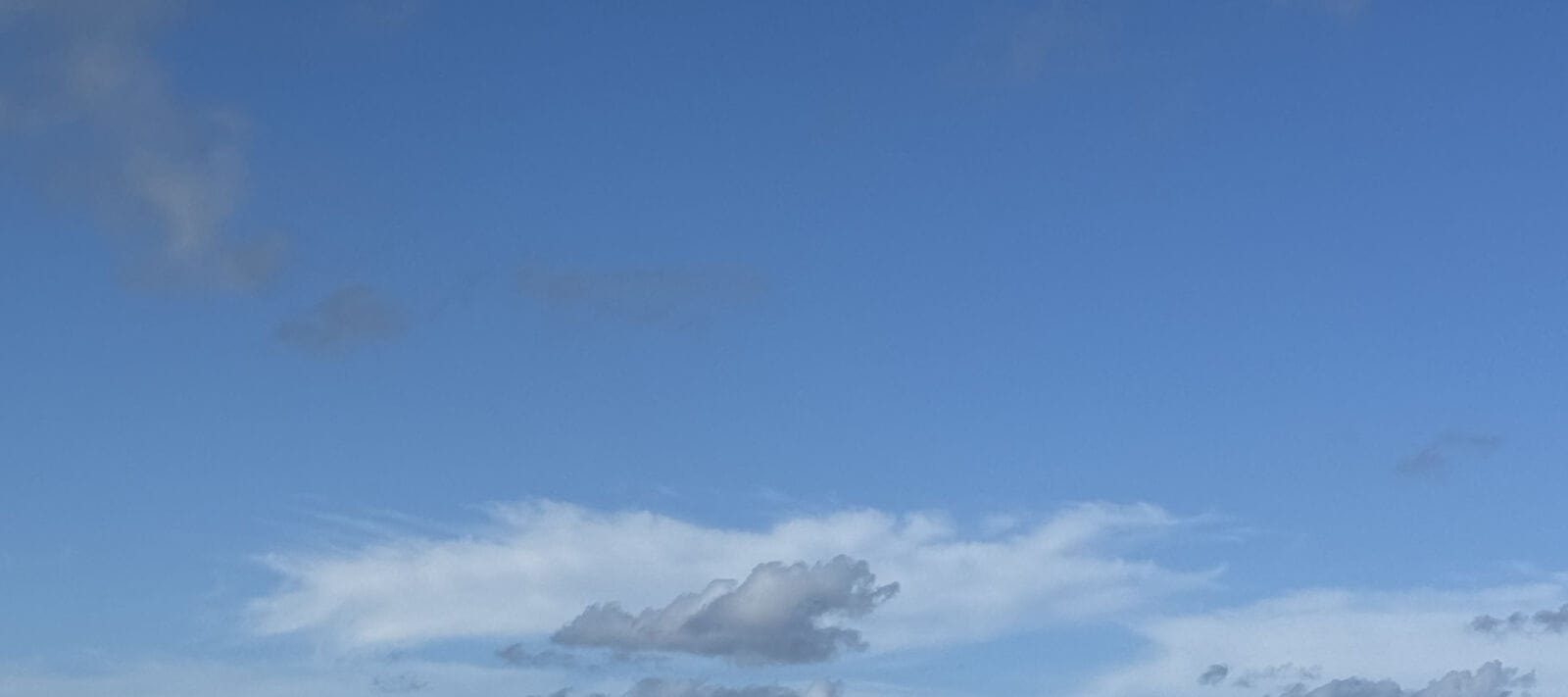 從墨爾本出發的菲利普島企鵝遊行之旅