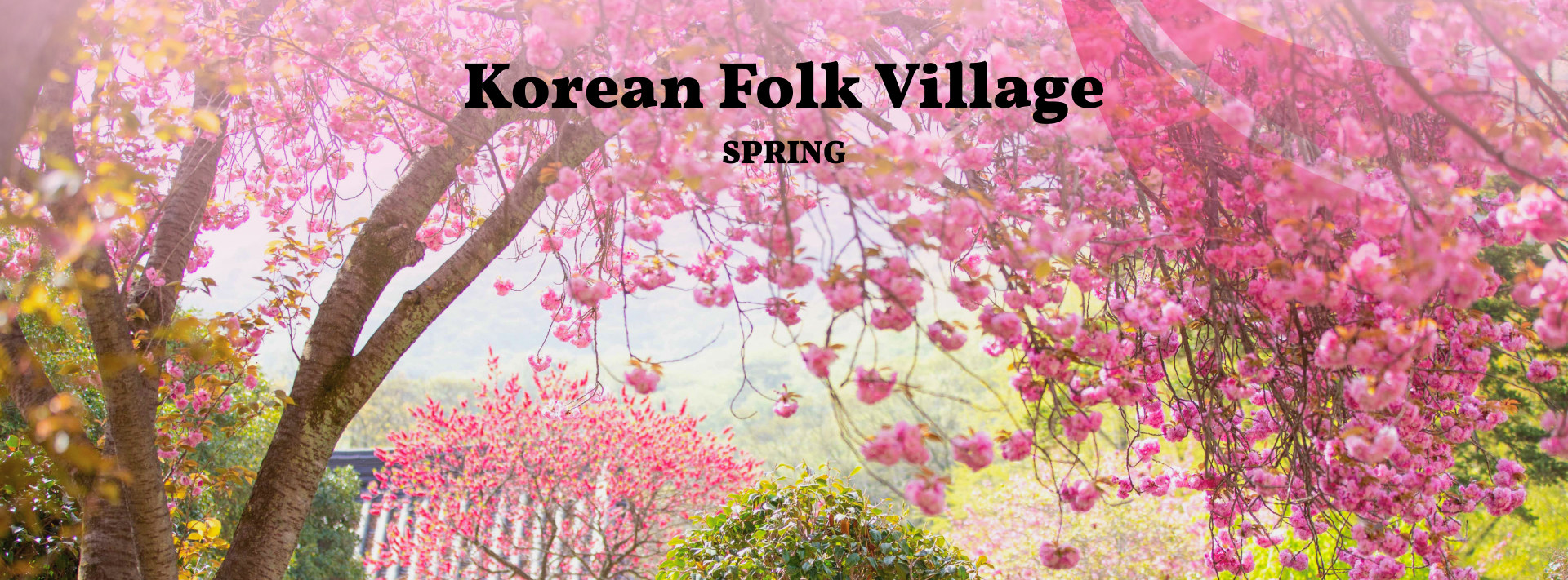 🌸春天，民俗村鮮花盛開，綠意盎然，生機勃勃。傳統的房屋和花園充滿活力，是悠閒漫步的理想之選。
