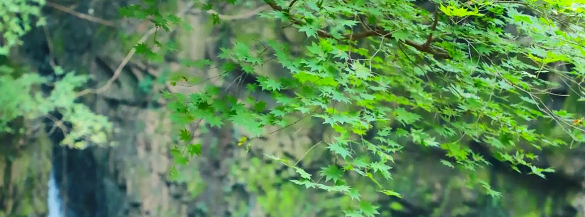 這裡是自然愛好者的寧靜之地，非常適合短途徒步、享受清爽的休息時光以及拍攝精美照片。