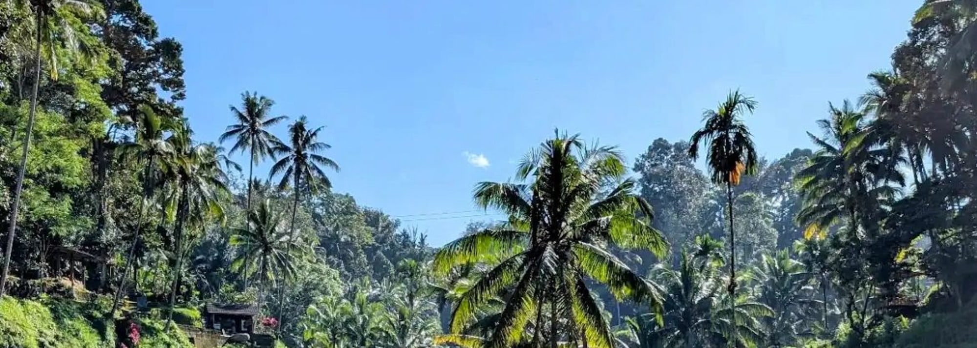 探索德哥拉朗梯田的驚人美景，那裡鬱鬱蔥蔥的綠色田野在一片永恆的風景中展開——非常適合拍照和寧靜的休憩。