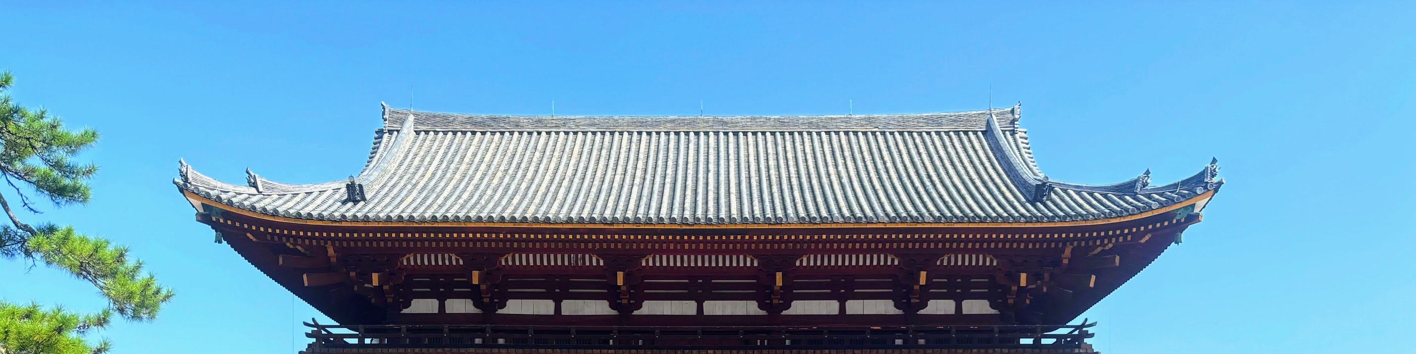 Nara & Kyoto 1-Day Bus Tour