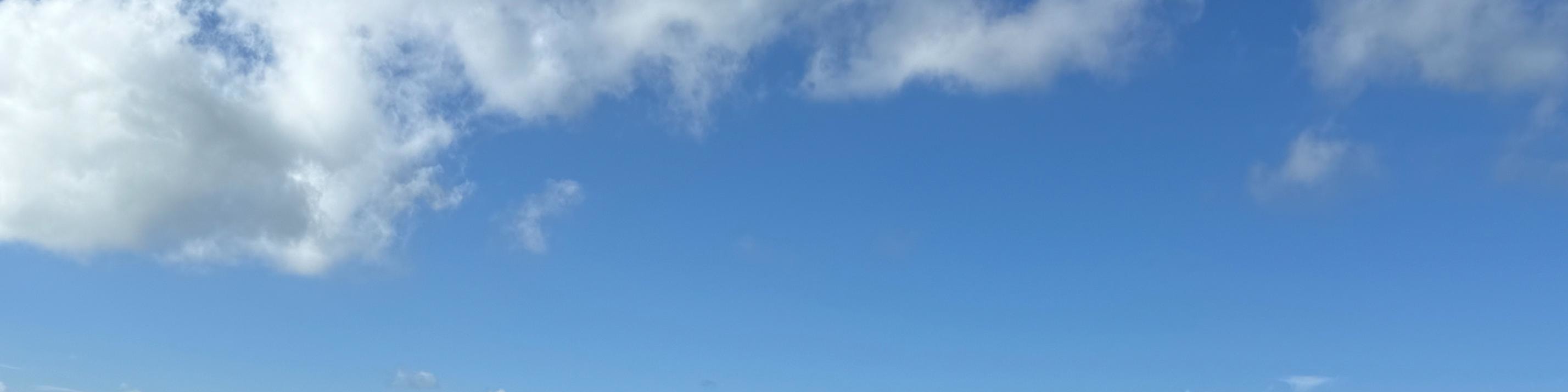 從墨爾本出發的菲利普島企鵝遊行之旅