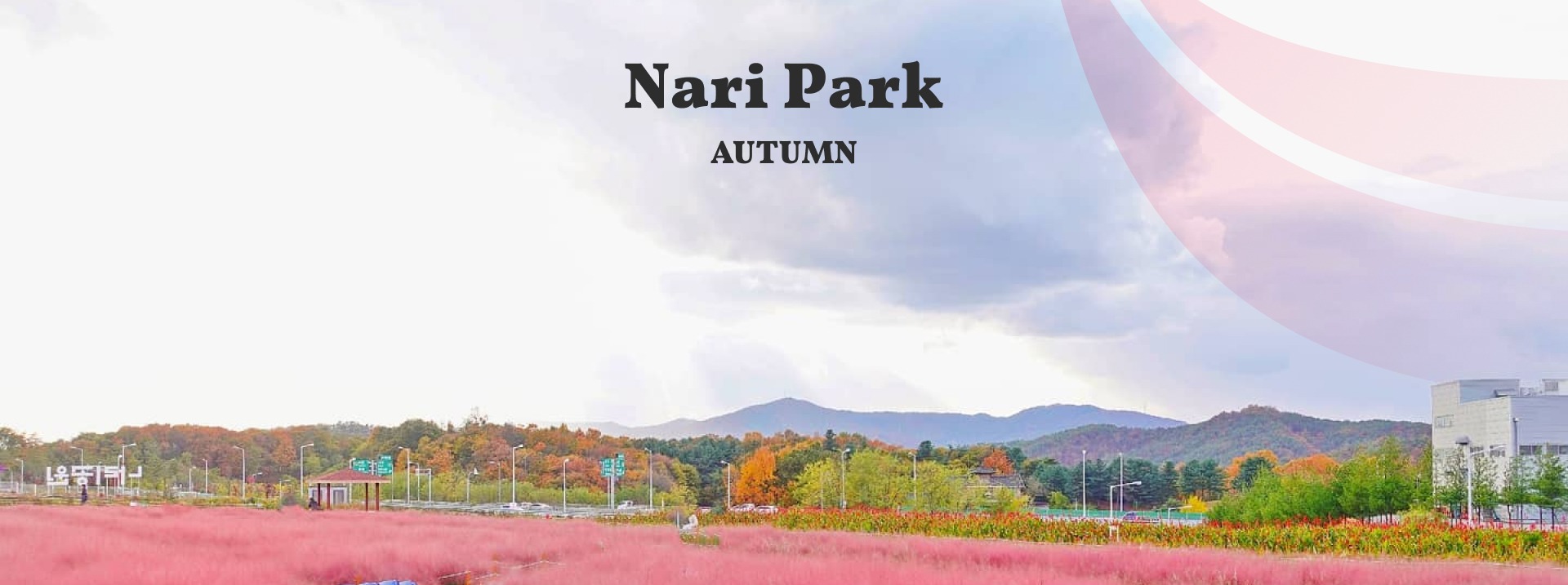 秋季時節，納里公園 (Nari Park) 搖身一變，成為一片夢幻般的粉黛亂子草花海。在秋日天空下，粉色波浪隨風搖曳，是拍照和悠閒漫步的絕佳去處。