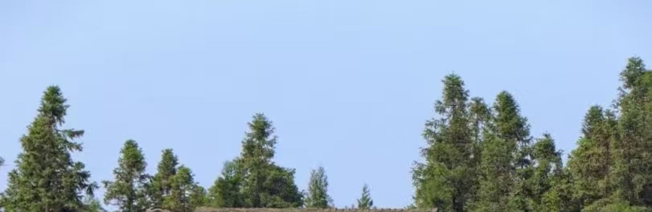 重慶武隆天生三橋&仙女山&烏江畫廊&816工程2日純玩（喀斯特奇觀+山地草甸風光+贈送烏江畫廊遊船&洞見816沉浸式演繹+重慶往返）