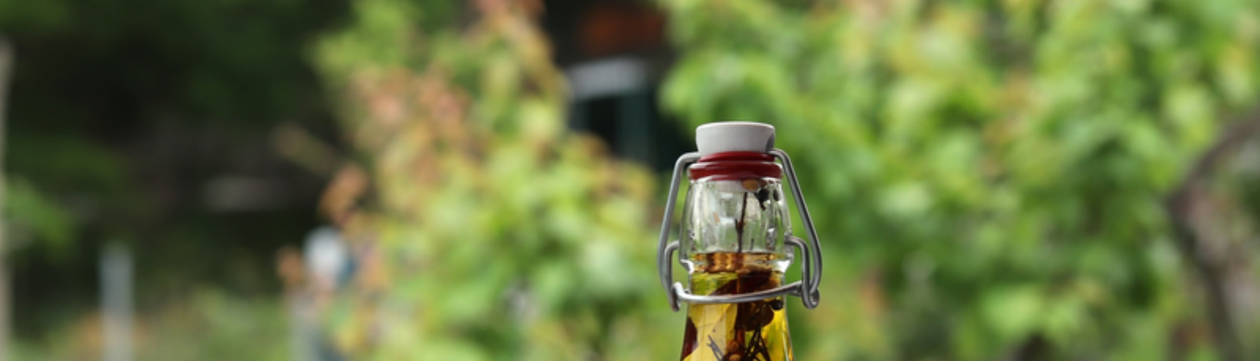 草本精油與鹽巴工作坊