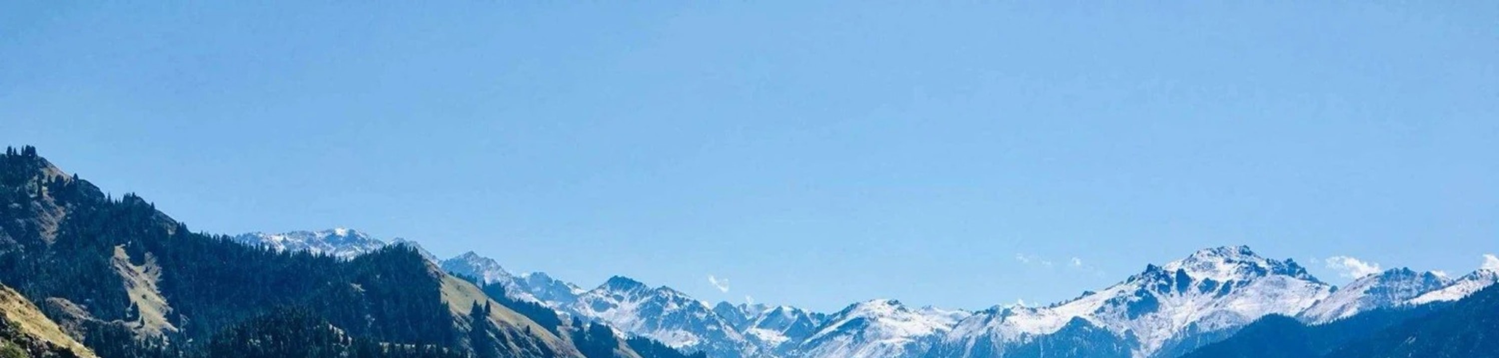 新疆天山天池高端純玩1日遊（烏魯木齊往返+天山天池景區）