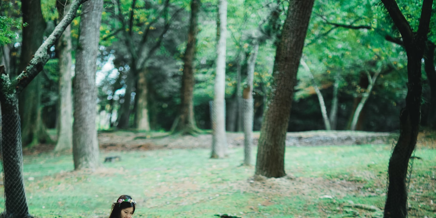 奈良公園 - 廣闊的公園,有自由漫步的鹿群,並可欣賞東大寺的景色,提供有趣且標誌性的畫面。 奈良公園 - 廣闊的公園,有自由漫步的鹿群,並可欣賞東大寺的景色,提供有趣且標誌性的畫面。