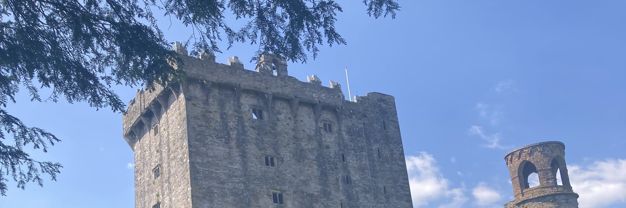 Cobh(Cork): Blarney Castle, Kinsale & Cork City Shore Tour