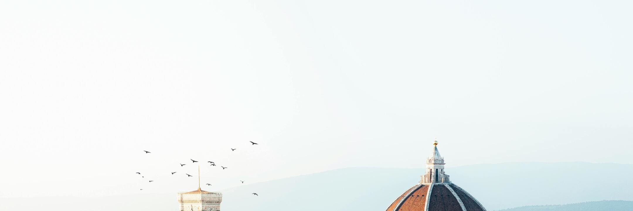 From Livorno: Florence Express Shuttle Service