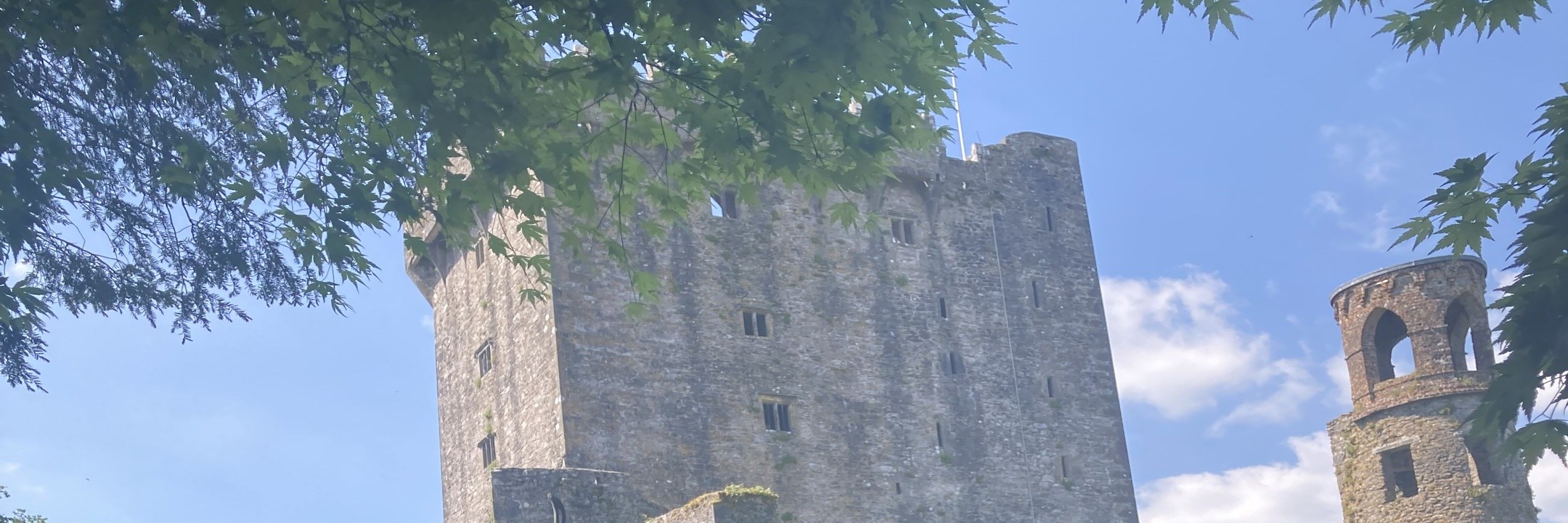 Cobh(Cork): Blarney Castle, Kinsale & Cork City Shore Tour
