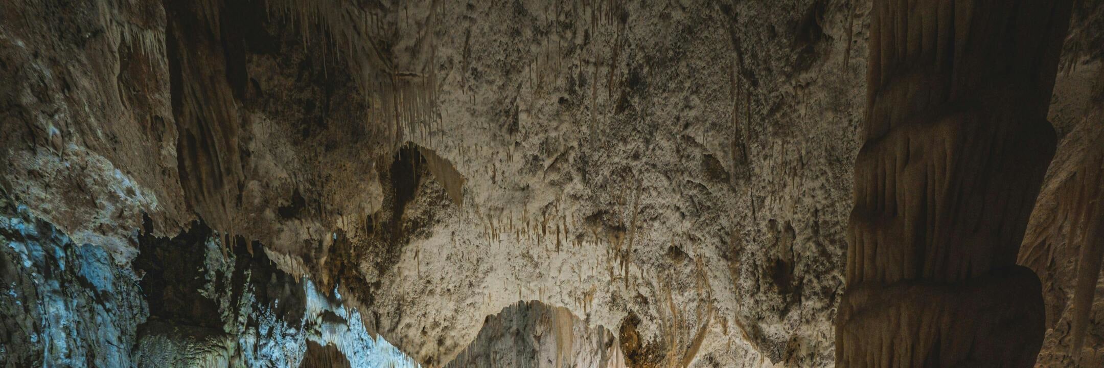 Gibraltar: Rock of Gibraltar and St. Michael's Cave Tour