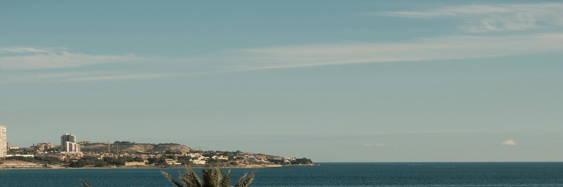 Alicante: Private Guided Tour with Transport