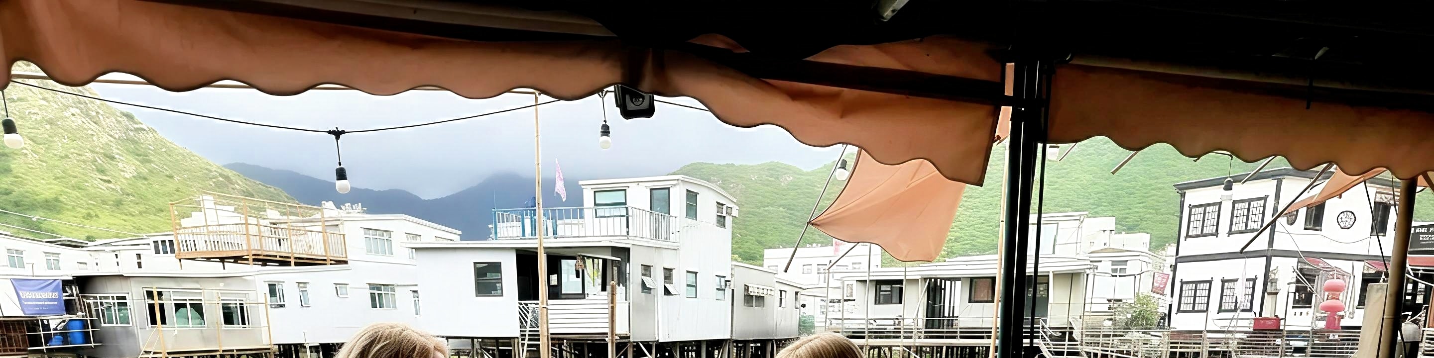 Tai O VIP Private Boat Dolphin Watching Tour - Fits up to 12 people (Includes stilt house drinks, map, and postcard) | Tai O Tak Hung Travel - Thumbnail 7