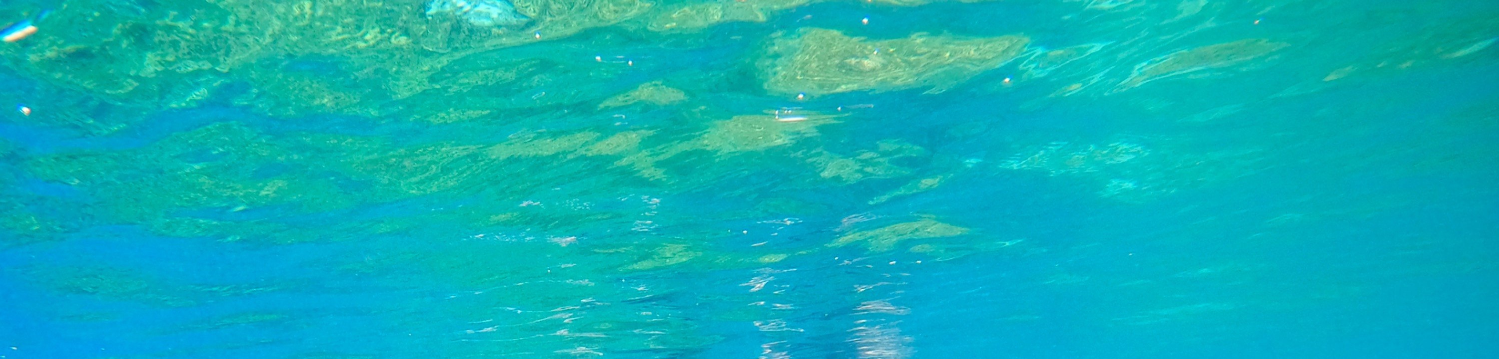 關島高級浮潛體驗