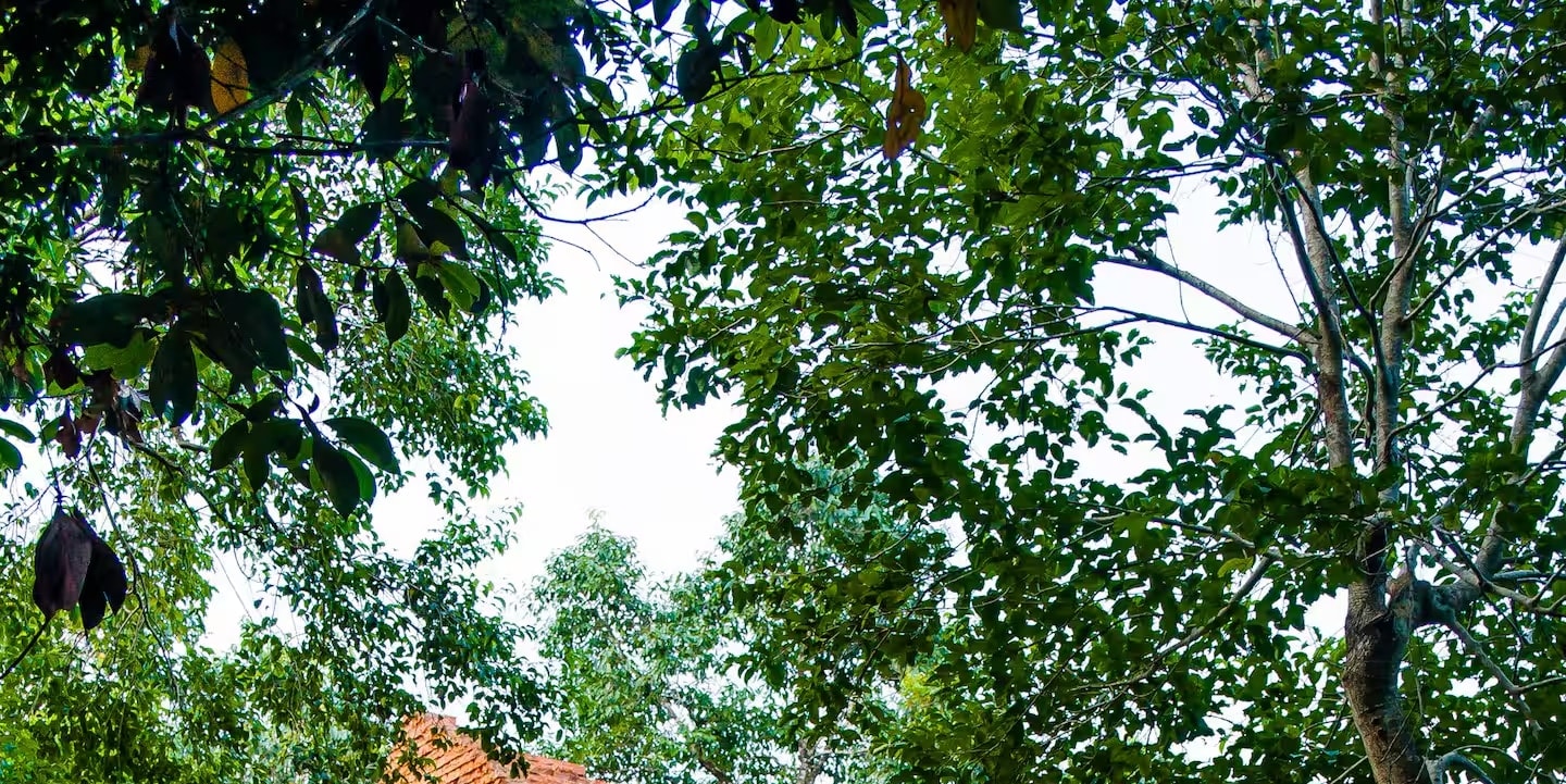Many researchers of the ancient Cham towers at My Son Sanctuary have observed that the architectural art of these towers represents a fusion of various styles
