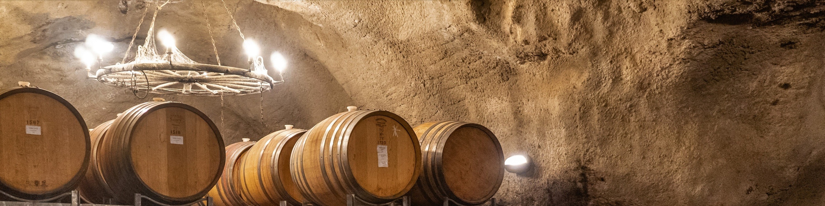 Tour through New Zealand's largest wine cave