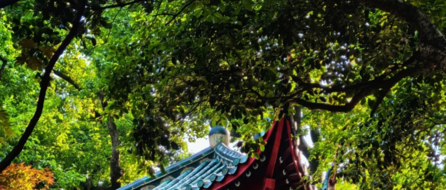 愛晚亭，中國四大名亭之一，詩意與歷史的浪漫邂逅，因杜牧“停車坐愛楓林晚”詩句得名，亭畔楓葉如火，秋色絕美，是長沙著名文化景點。