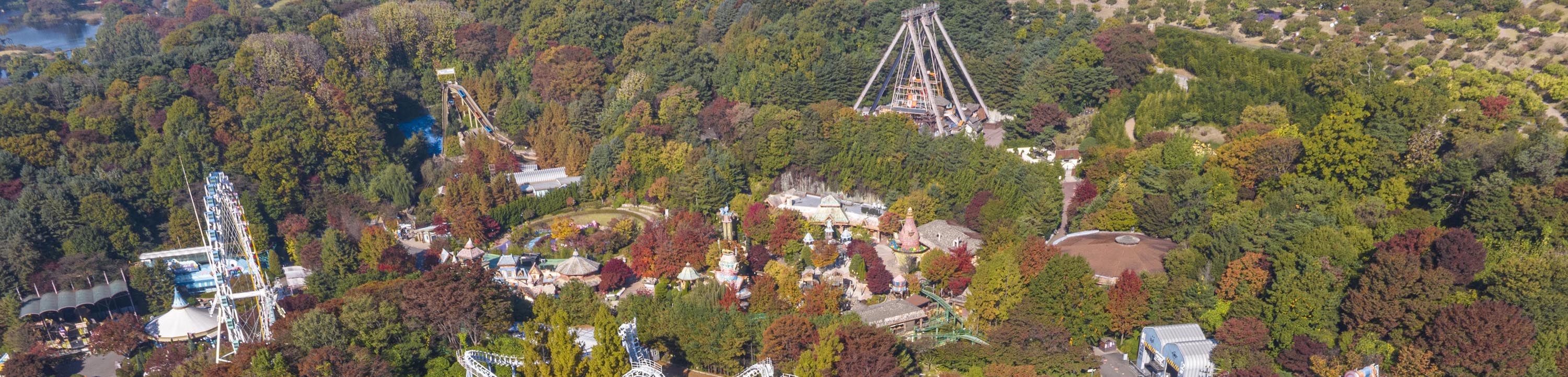 Everland & Lotte World Multi-day Adventure & City Highlights Tour