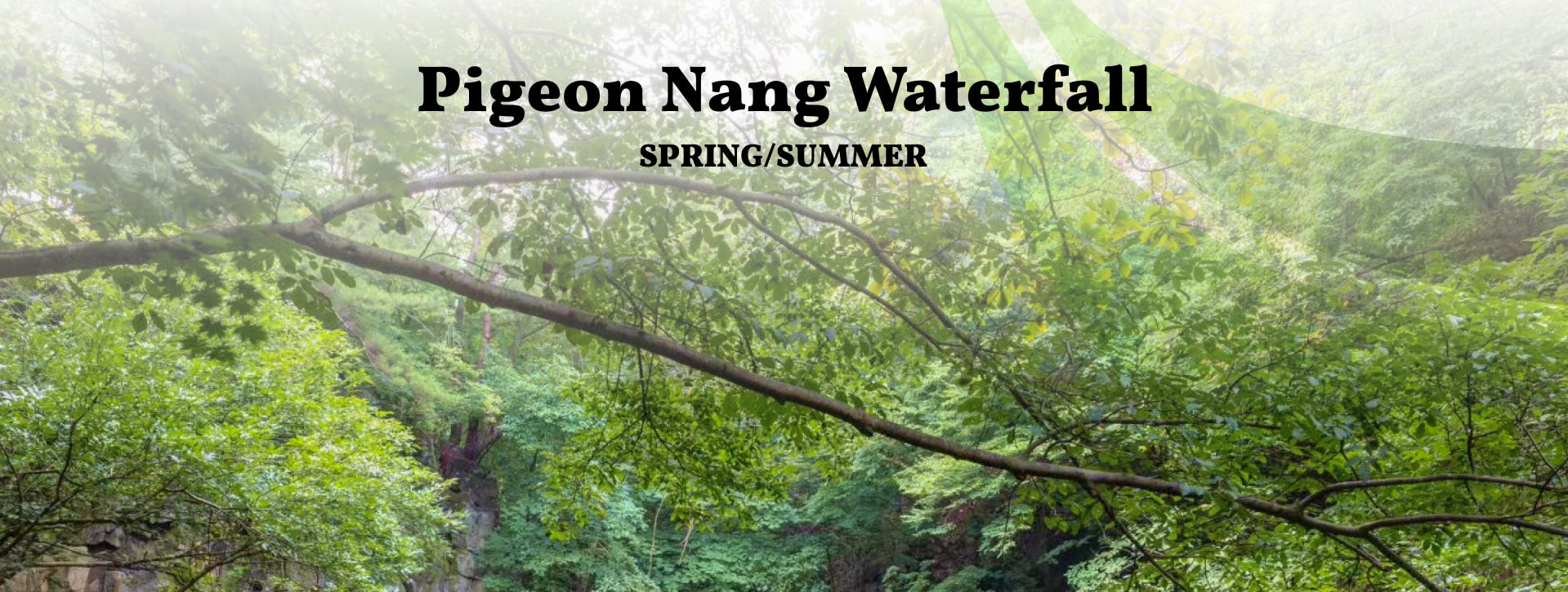 鴿子楠府瀑布（Pigeon Nang Waterfall）是一顆隱藏的寶石，四周環繞著鬱鬱蔥蔥的懸崖，翠綠色的水流入涼爽的天然水池。這個名字來源於瀑布周圍的洞穴，這些洞穴曾經是野生鴿子的棲身之所，增添了一絲童話般的魅力。