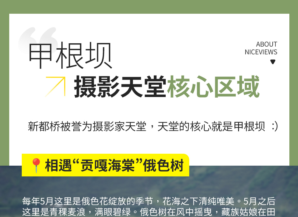 川西雪山巡禮4日遊（2-4人精品小團+硬派越野+單反無人機旅拍+四姑娘山+魚子西日照金山+墨石公園+姑弄村雪山咖啡+山野溪澗下午茶）