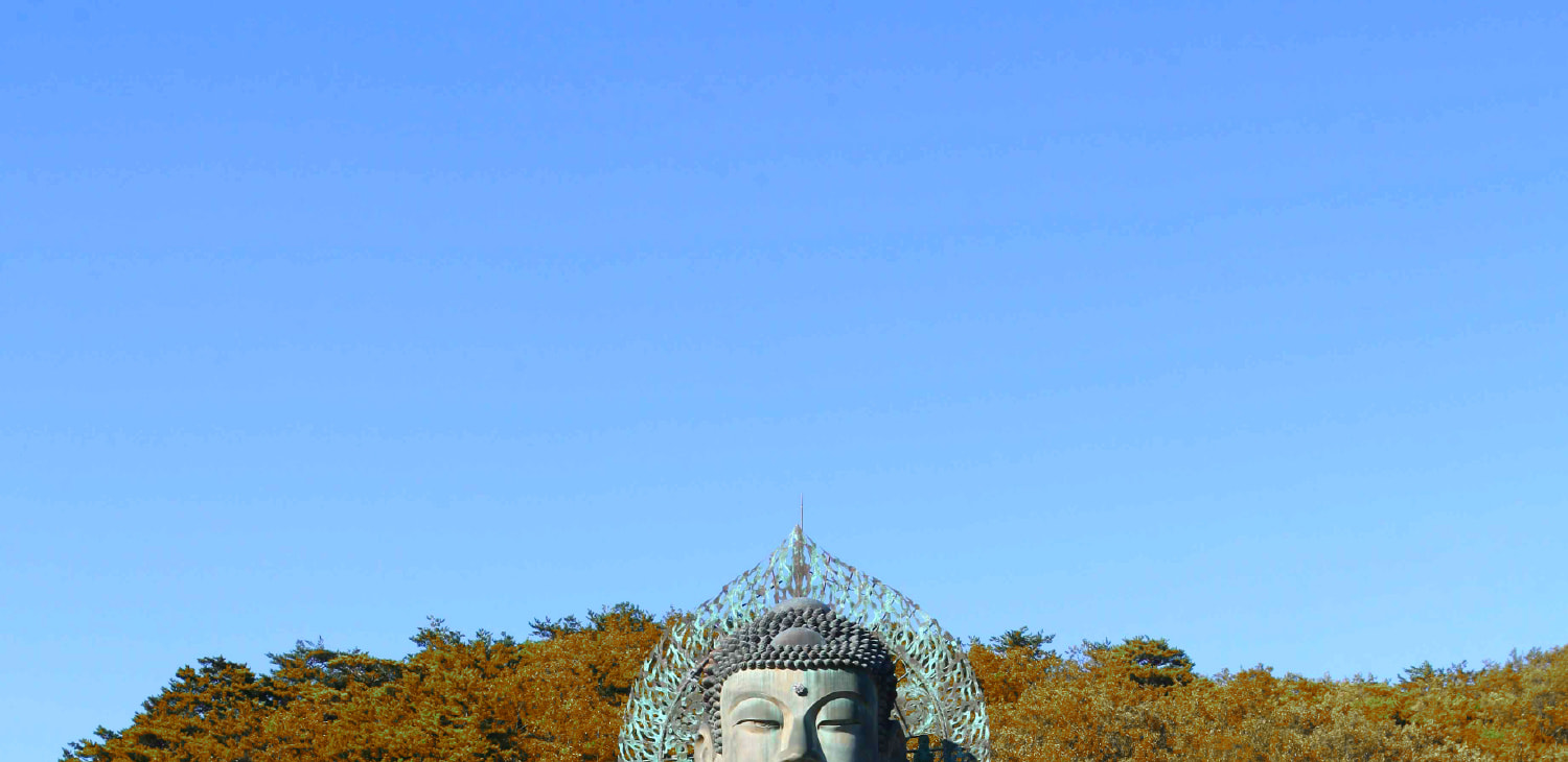 首爾雪嶽山 & Surfy海灘一日遊