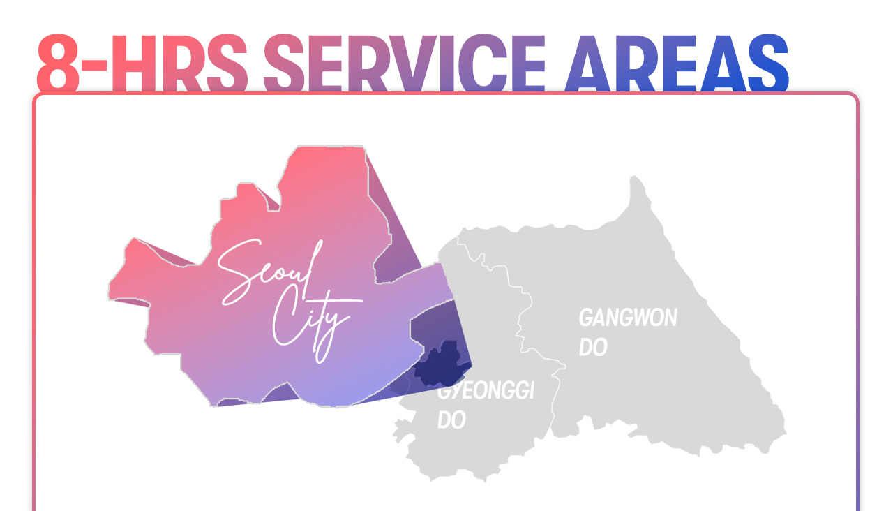 Seoul Car Rental with Driver to Seoul City/Everland/Nami Island/Alpaca World/Gangchon Rail Park