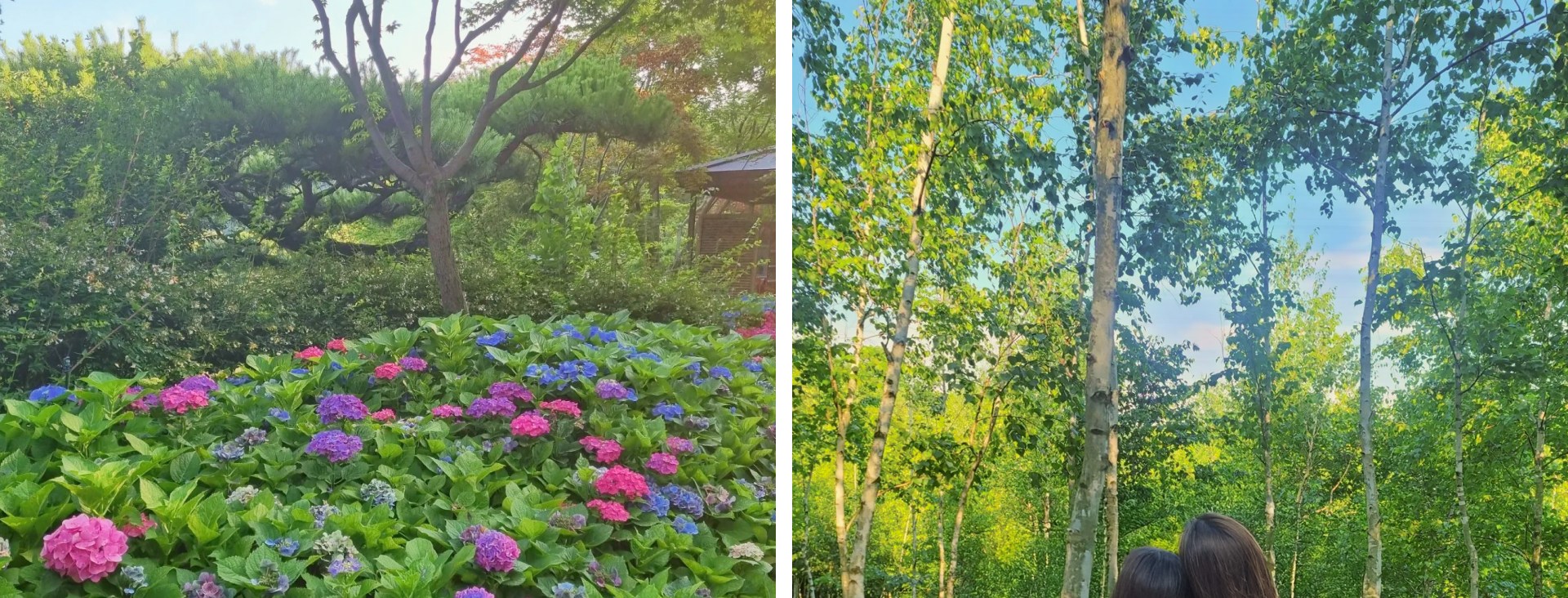 植物園裡鮮花盛開，小路綠樹成蔭，是您放鬆身心、遠離城市喧囂、欣賞大自然美景的理想場所。