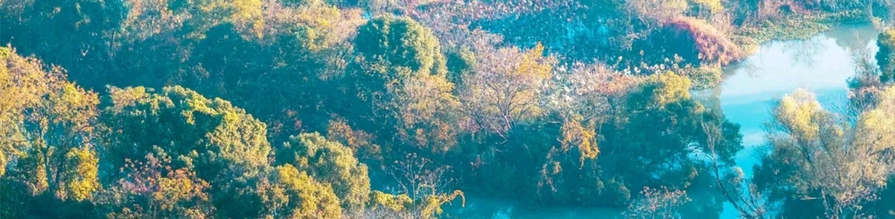 蜿蜒的河流穿梭於五彩斑斕的樹林間,樹木的葉子呈現出黃綠相間的色彩,透著濃濃的秋意 蜿蜒的河流穿梭於五彩斑斕的樹林間,樹木的葉子呈現出黃綠相間的色彩,透著濃濃的秋意