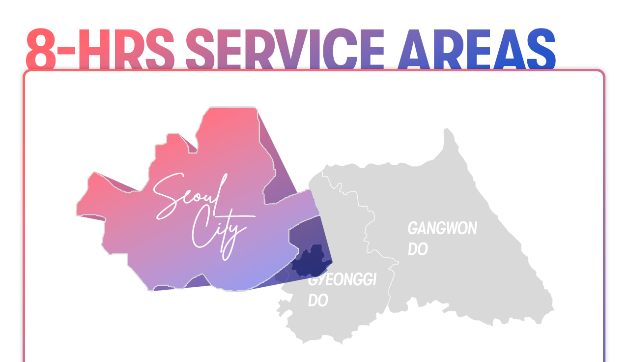 Seoul Car Rental with Driver to Seoul City/Everland/Nami Island/Alpaca World/Gangchon Rail Park