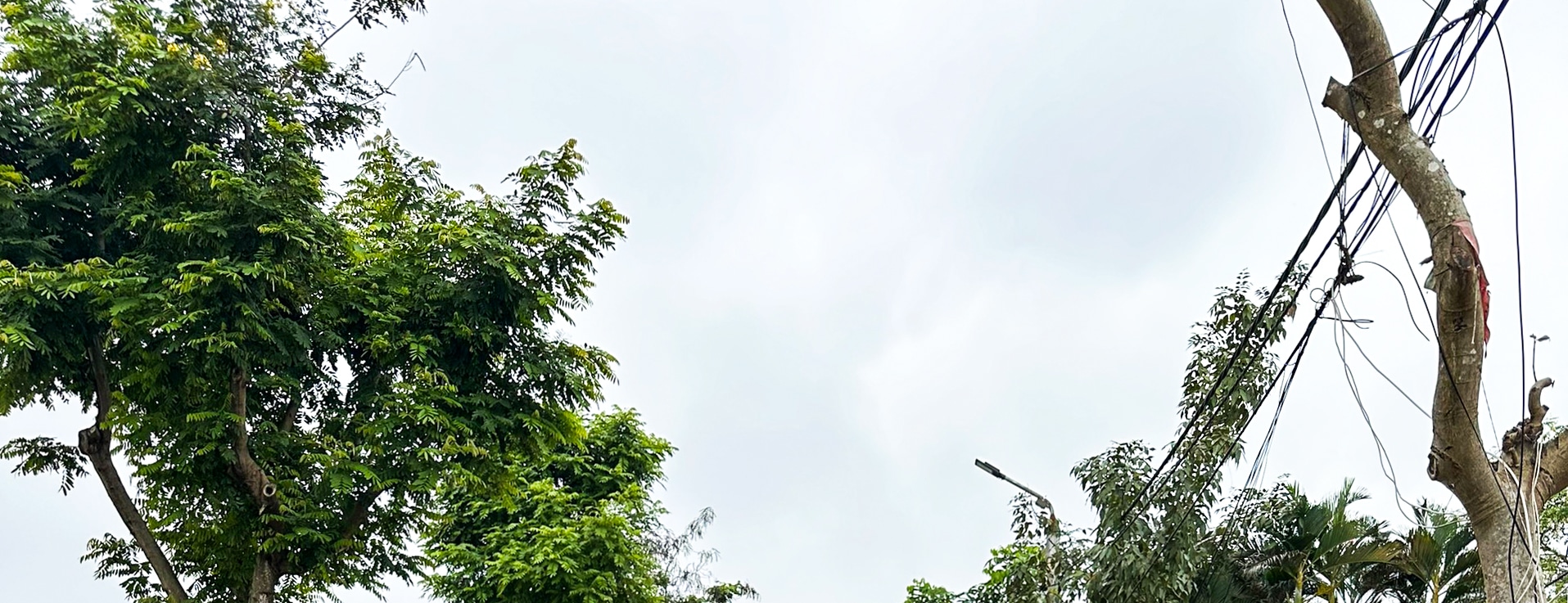 會安 (Hoi An) 出發，半日鄉村電動車探險之旅