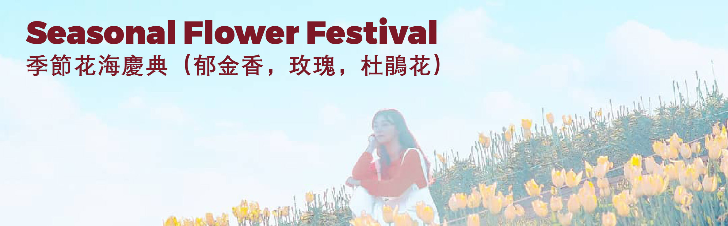 全州韓屋村＆季節性熱門景點一日遊