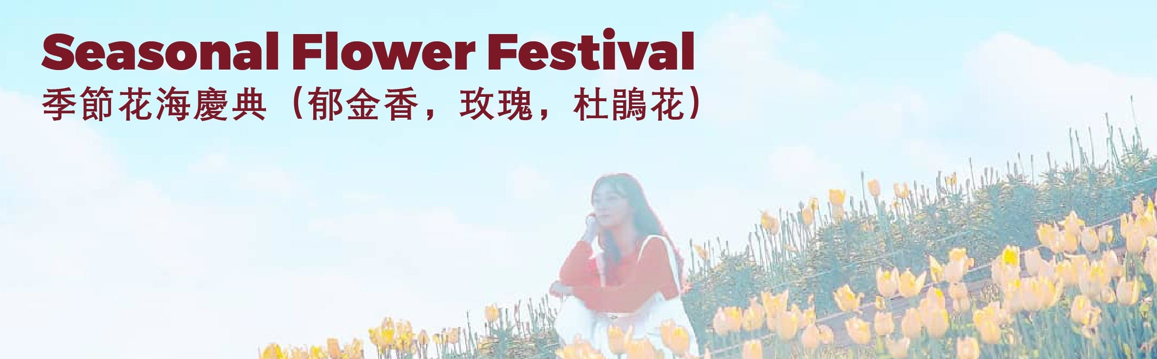 全州韓屋村＆季節性熱門景點一日遊