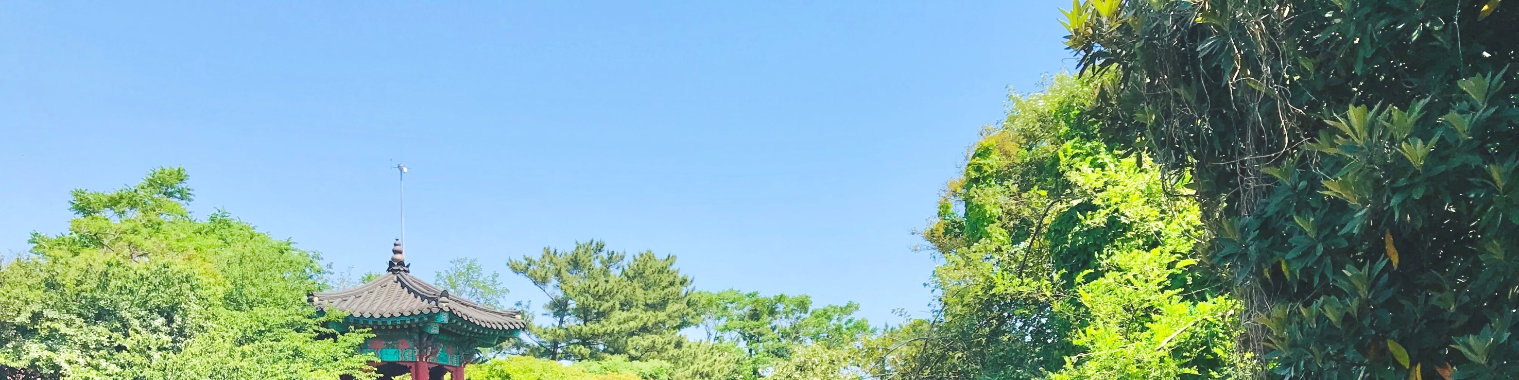 龍淵池是絕佳的拍照地點，傳統韓服與濟州島的自然美景在此完美融合。